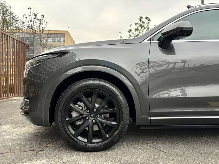 Фото 15 - LiXiang One