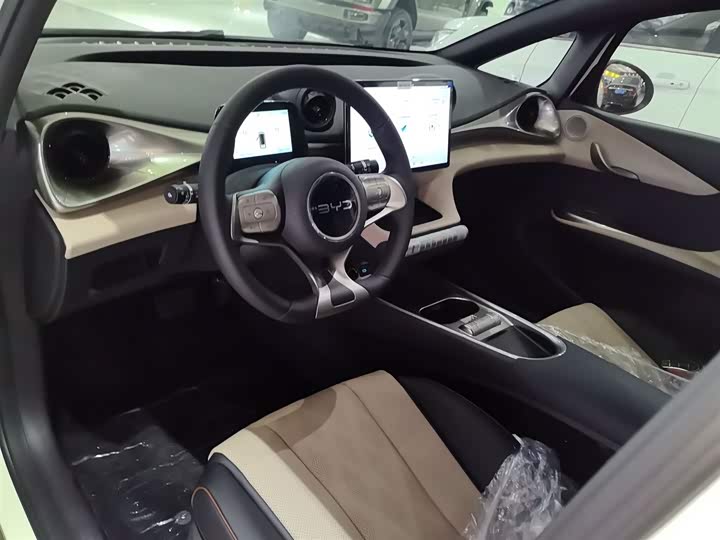 Фото 10 - BYD Dolphin