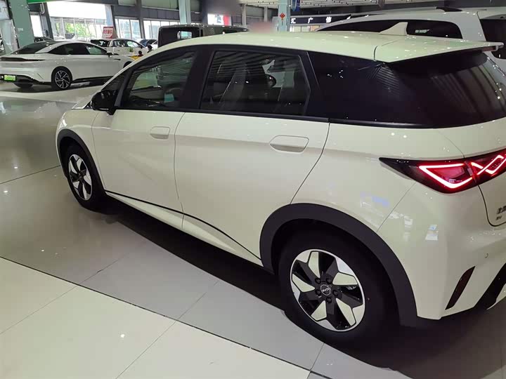 Фото 5 - BYD Dolphin