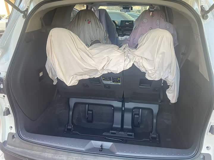 Фото 6 - Toyota Sienna