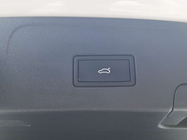 Фото 14 - Volkswagen Teramont X