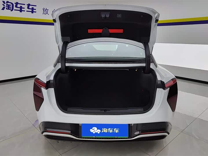 Фото 4 - Hongqi EH7