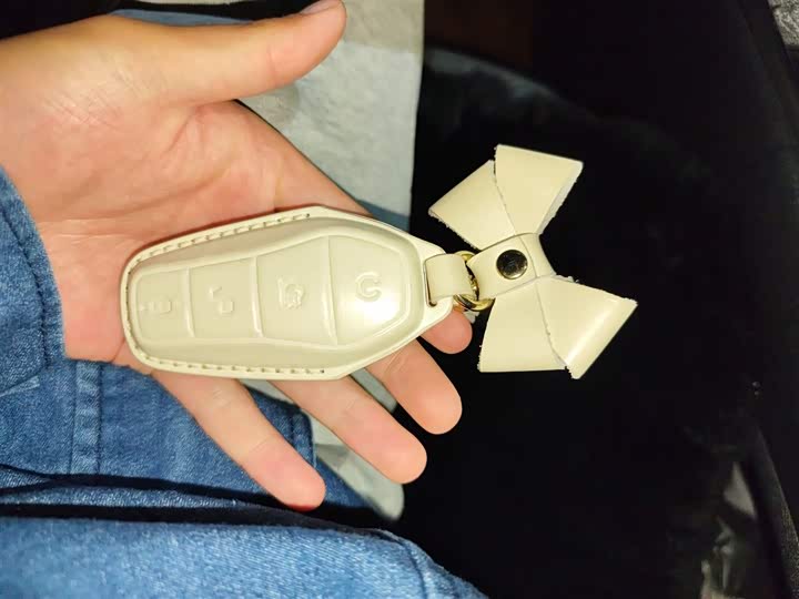 Фото 12 - BYD Dolphin