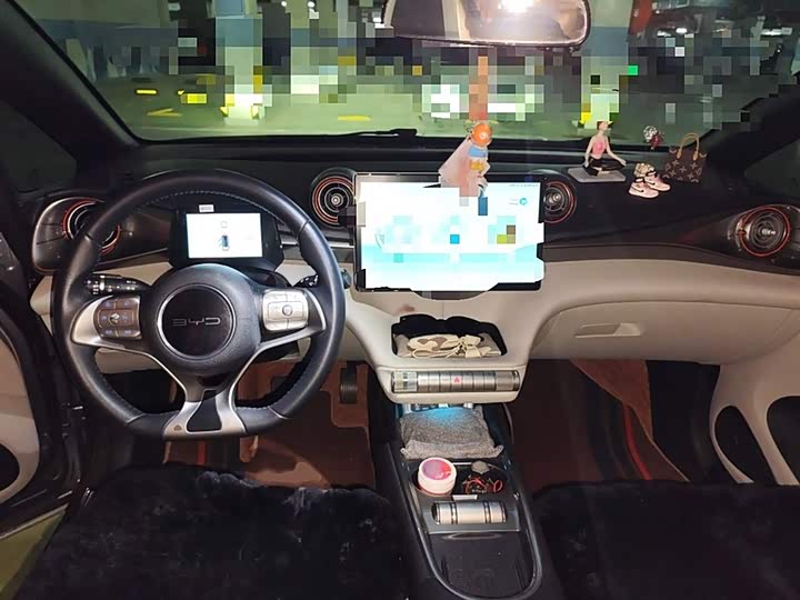 Фото 13 - BYD Dolphin