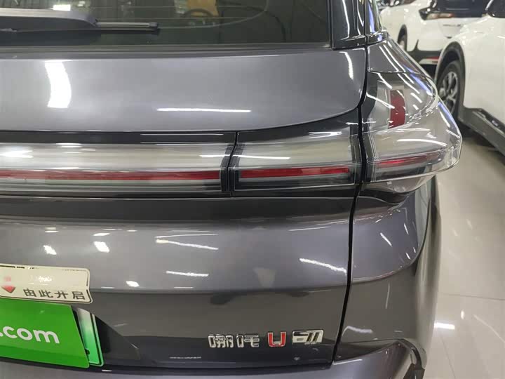 Фото 8 - Hozon U