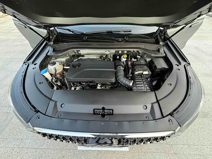 Фото 30 - Chery Tiggo 8L