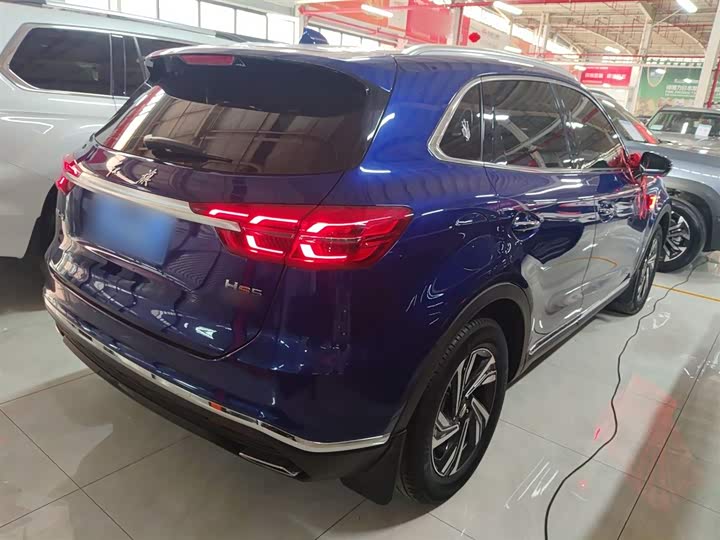 Фото 7 - Hongqi HS5