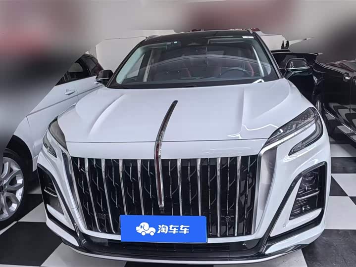 Фото 2 - Hongqi HS3