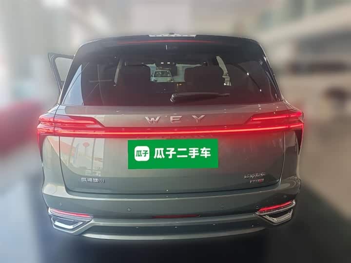 Фото 10 - Wey Lanshan