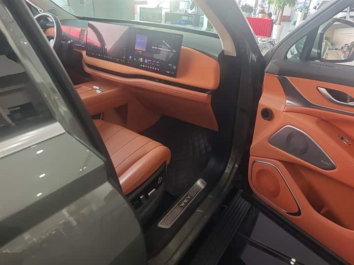 Фото 11 - Wey Lanshan