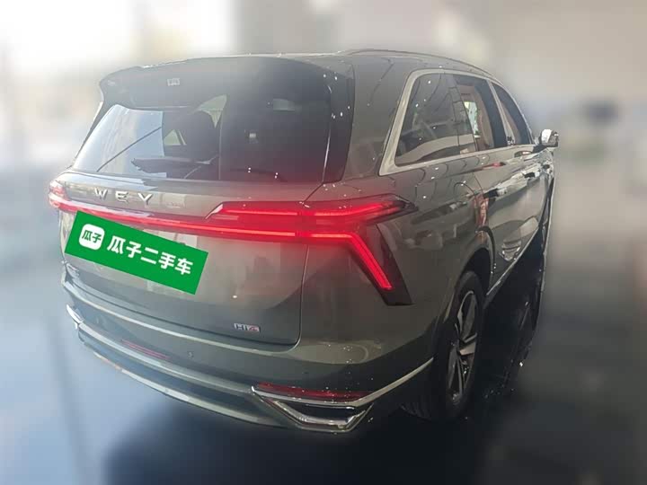 Фото 12 - Wey Lanshan