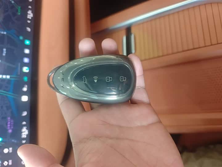 Фото 15 - Wey Lanshan