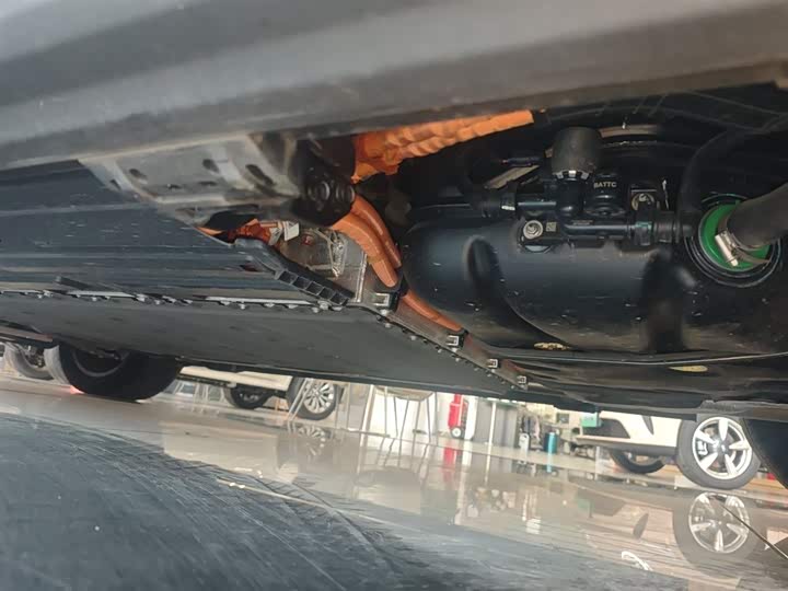 Фото 6 - Wey Lanshan