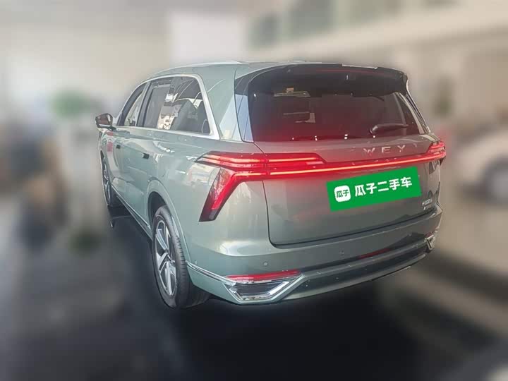 Фото 9 - Wey Lanshan