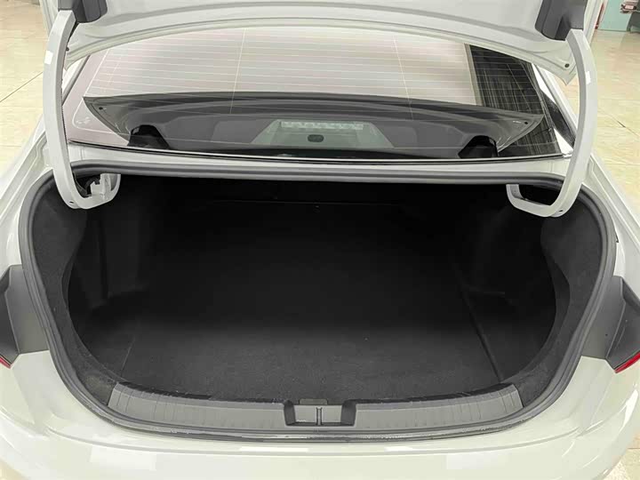 Фото 16 - Volkswagen Sagitar L