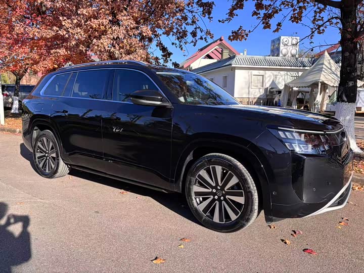 Фото 3 - Volkswagen Teramont Pro