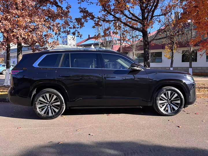 Фото 4 - Volkswagen Teramont Pro