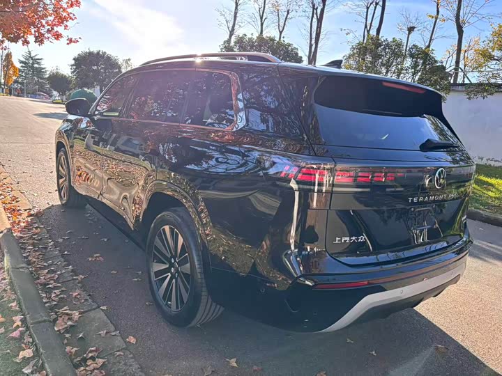 Фото 5 - Volkswagen Teramont Pro