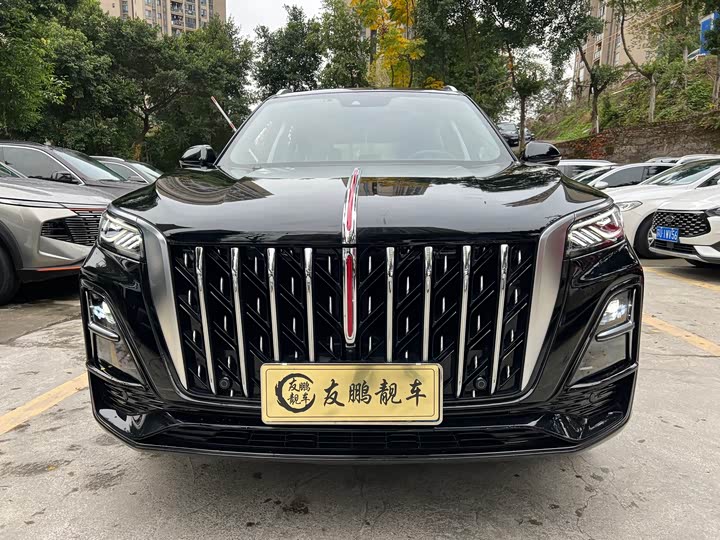 Фото 2 - Hongqi HS5