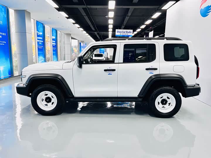 Фото 2 - Tank 300