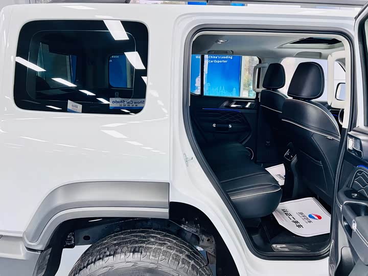 Фото 25 - Tank 300