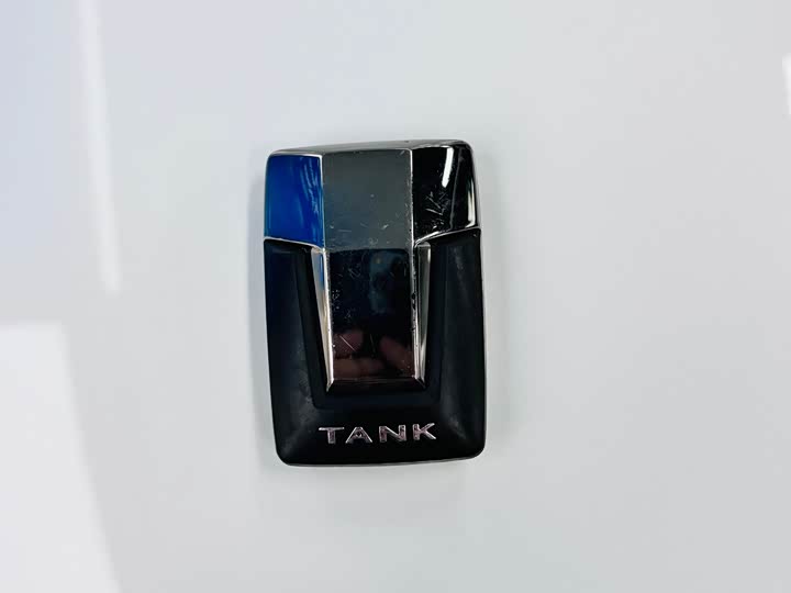 Фото 28 - Tank 300