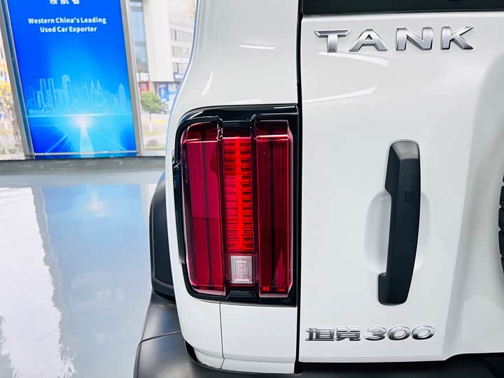 Фото 6 - Tank 300