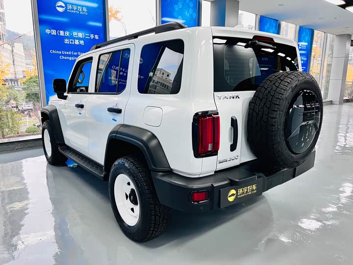 Фото 9 - Tank 300