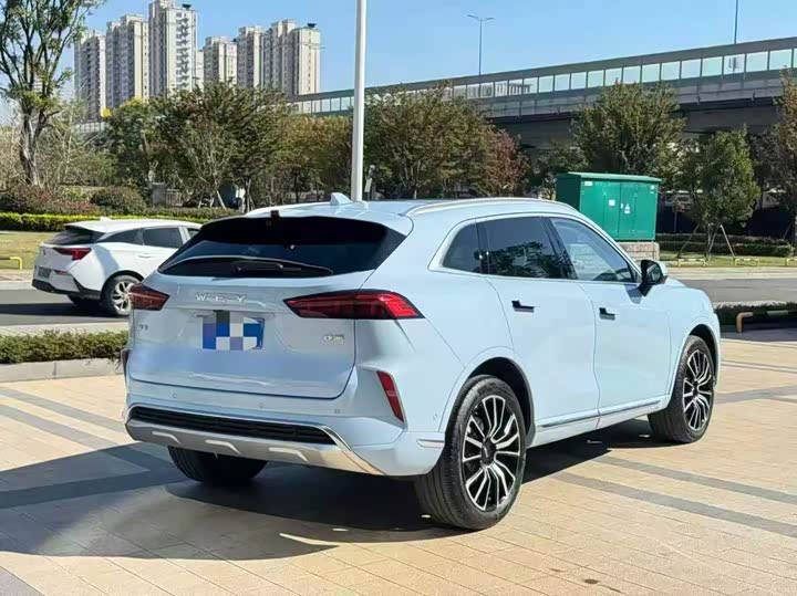 Фото 7 - Wey Mocha