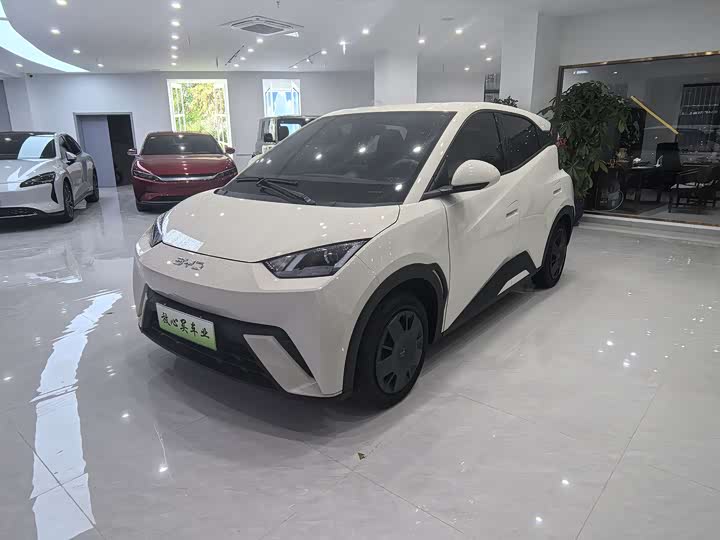 Фото 1 - BYD Seagull