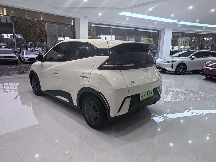 Фото 10 - BYD Seagull