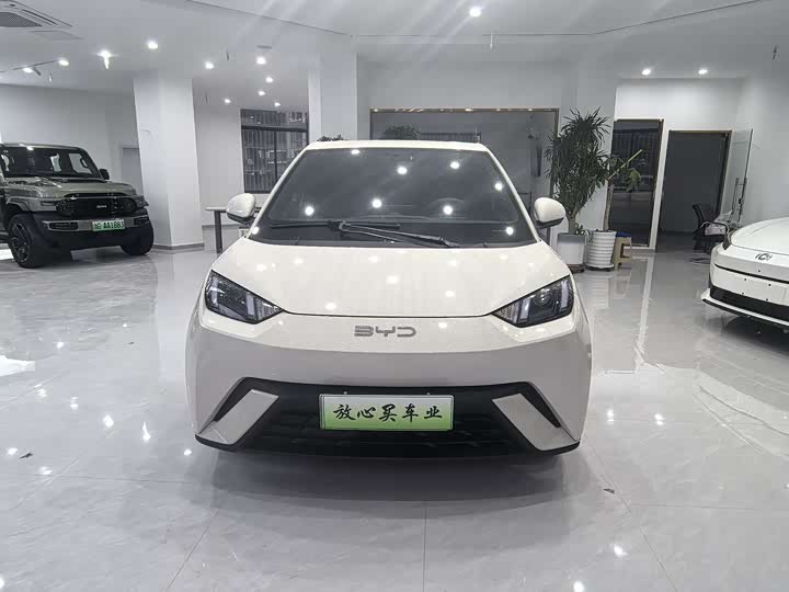 Фото 2 - BYD Seagull