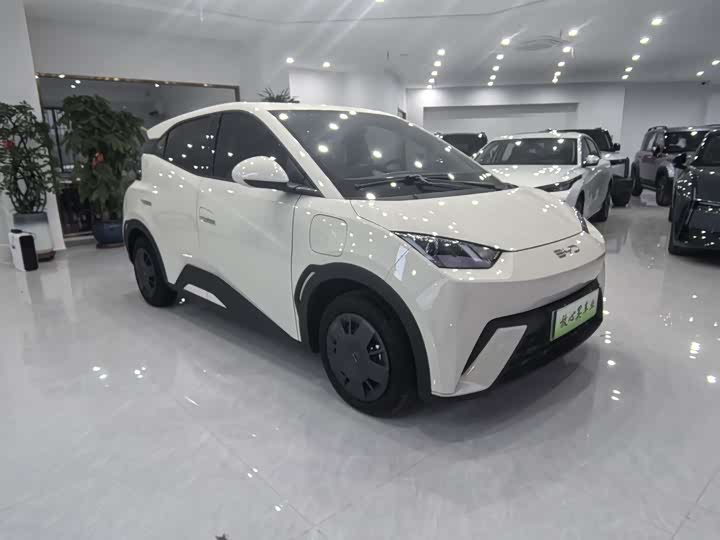 Фото 3 - BYD Seagull