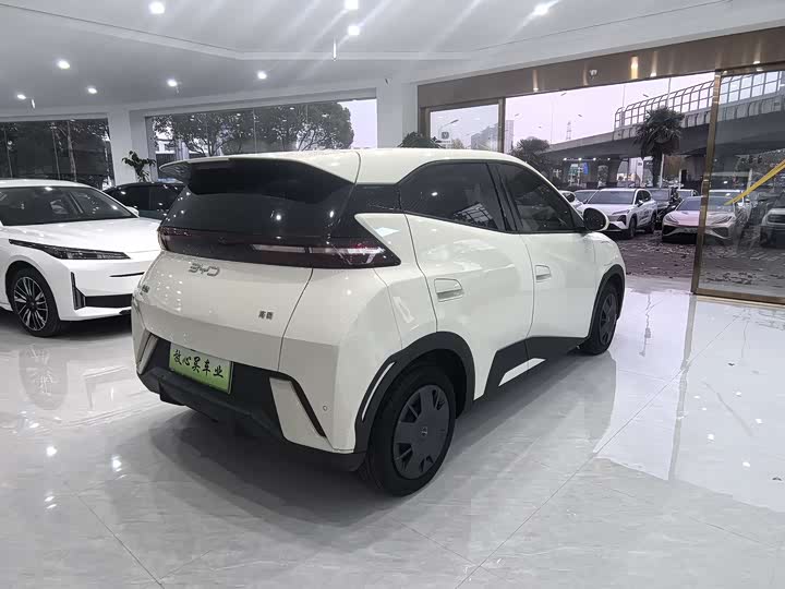 Фото 8 - BYD Seagull