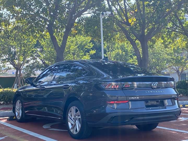 Фото 7 - Volkswagen Lamando L