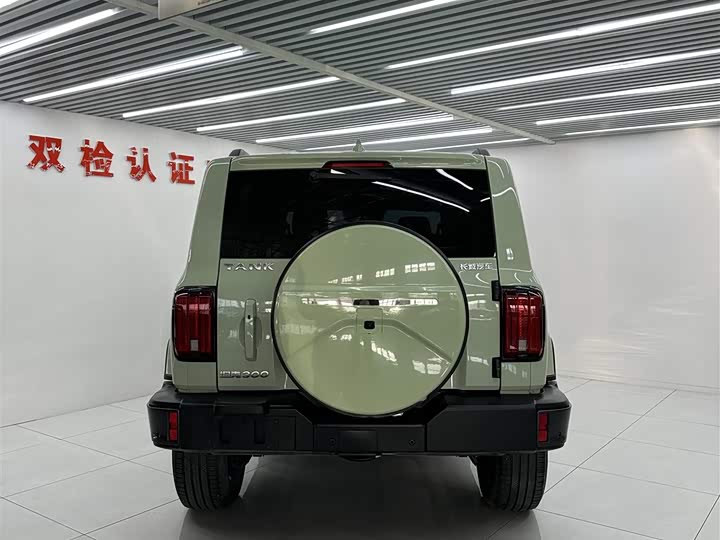 Фото 7 - Tank 300