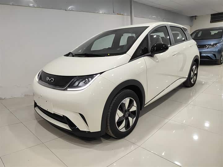 Фото 2 - BYD Dolphin