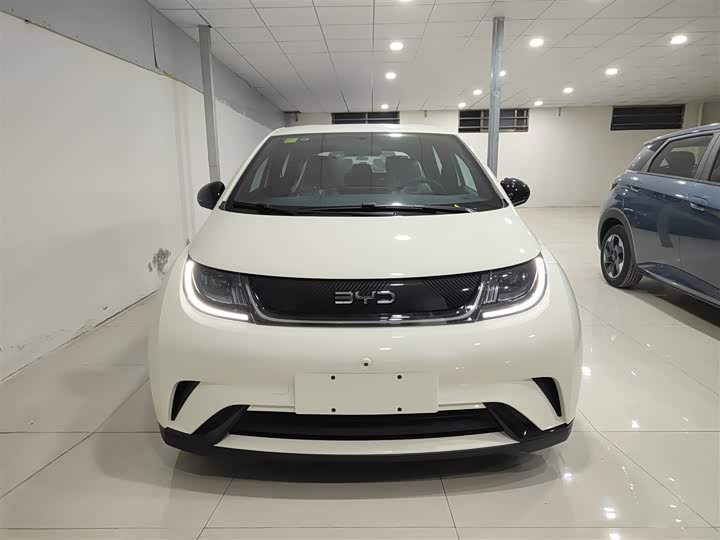 Фото 3 - BYD Dolphin