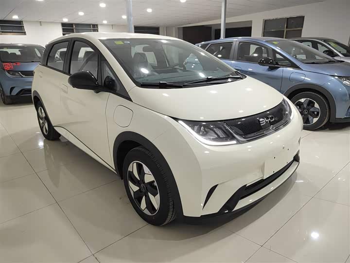 Фото 4 - BYD Dolphin