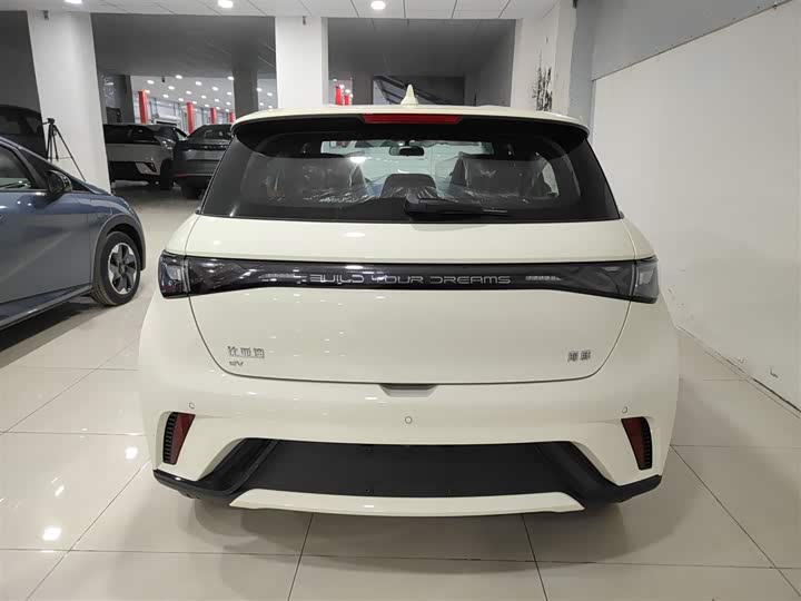 Фото 6 - BYD Dolphin