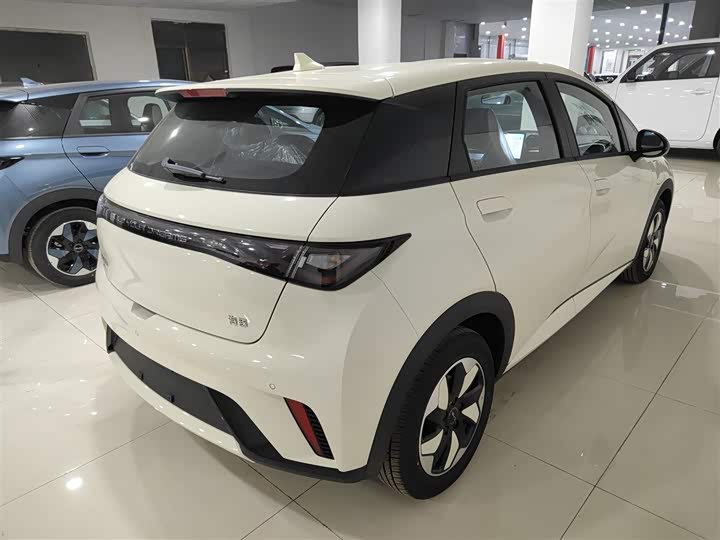 Фото 7 - BYD Dolphin