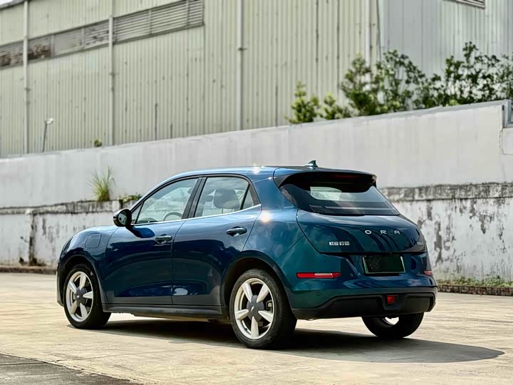 Фото 5 - Ora Good Cat (03)