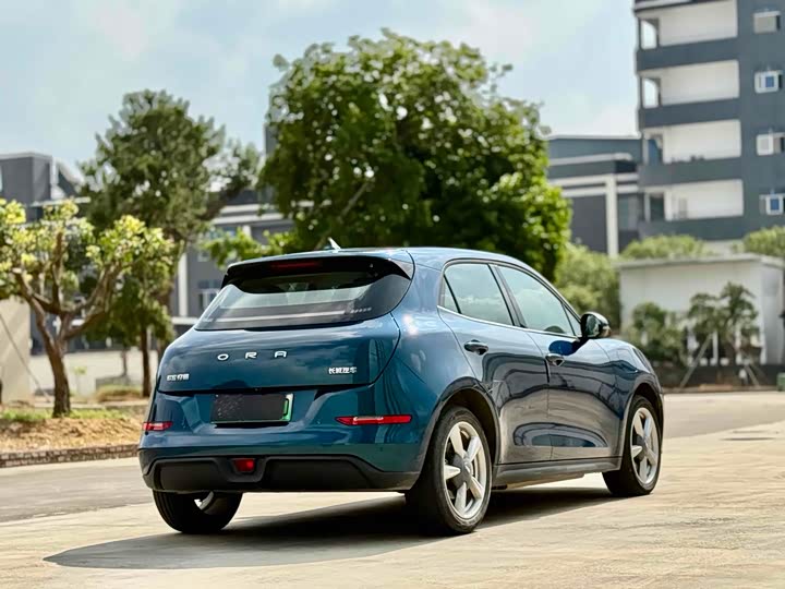 Фото 7 - Ora Good Cat (03)