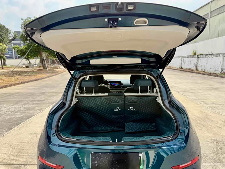 Фото 8 - Ora Good Cat (03)