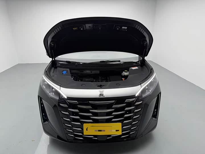 Фото 4 - BYD Xia