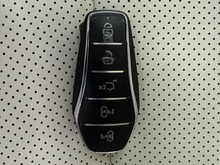 Фото 8 - BYD Xia