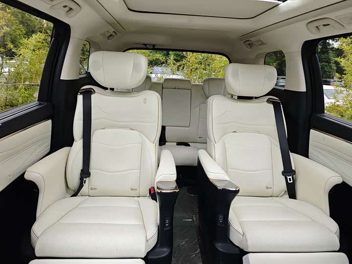 Фото 11 - GAC Trumpchi E9