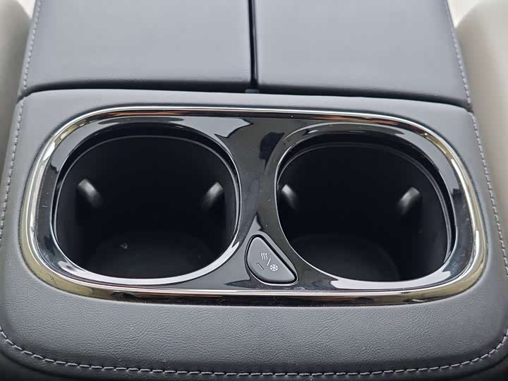 Фото 15 - GAC Trumpchi E9