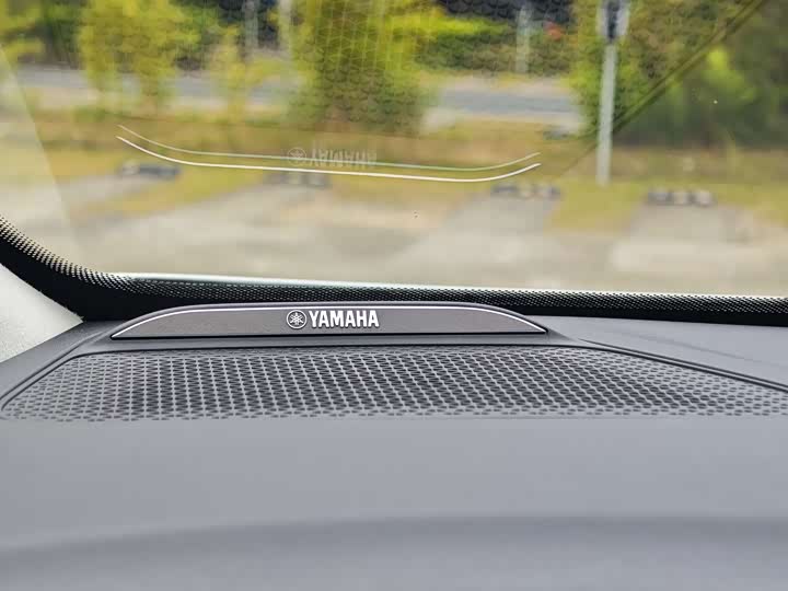 Фото 19 - GAC Trumpchi E9