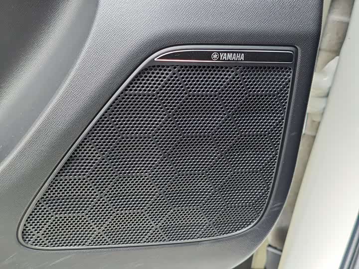 Фото 20 - GAC Trumpchi E9